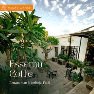 Jenis Tanaman Garden Mekar Wangi